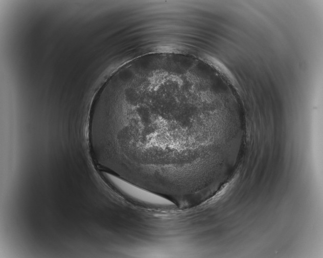 X0000088230938200705292131