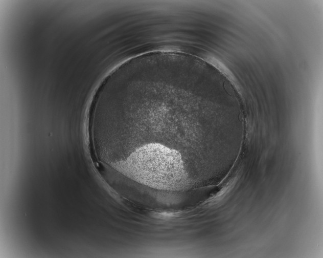 X0000088230939200705292131