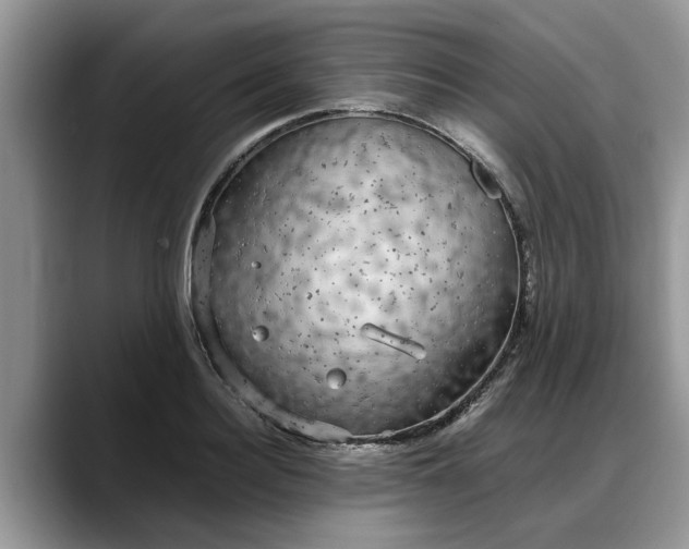 X0000088230940200705292131