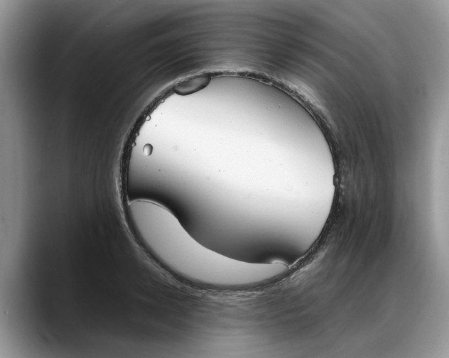 X0000088230942200705292131