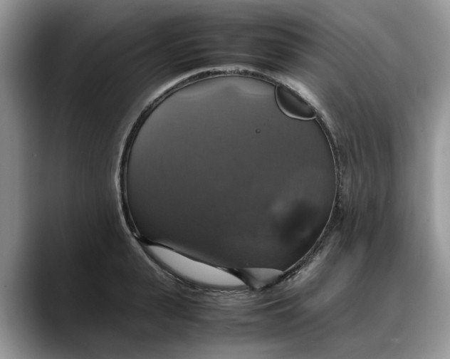 X0000088230943200705292131