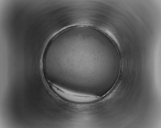 X0000088230944200705292131