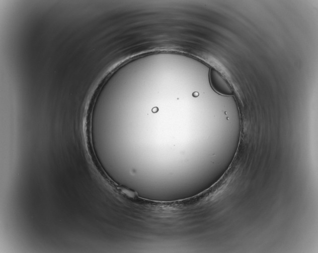 X0000088230947200705292131