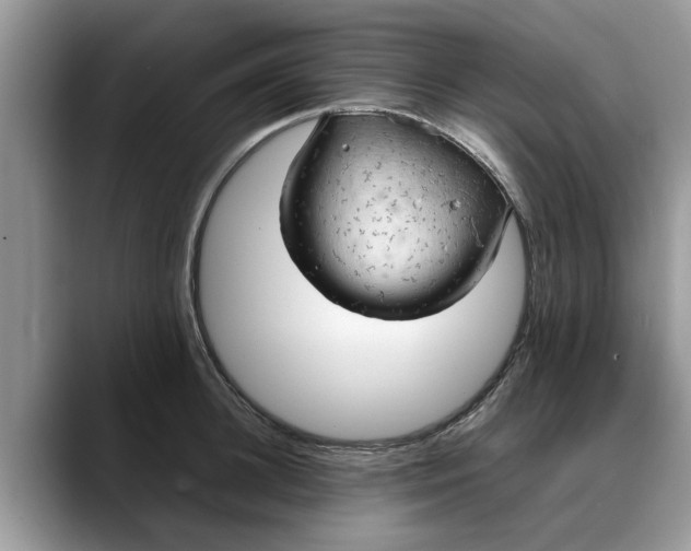 X0000088230948200705292131