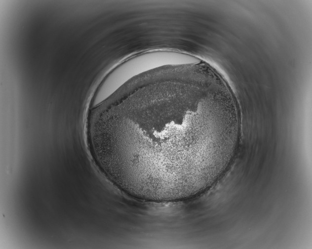 X0000088230949200705292131