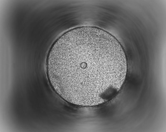 X0000088230950200705292131