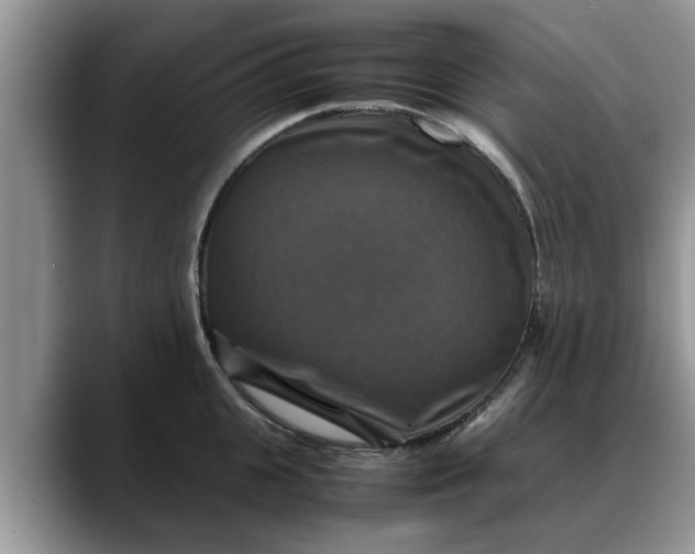 X0000088230951200705292131