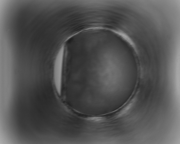 X0000088230953200705292131