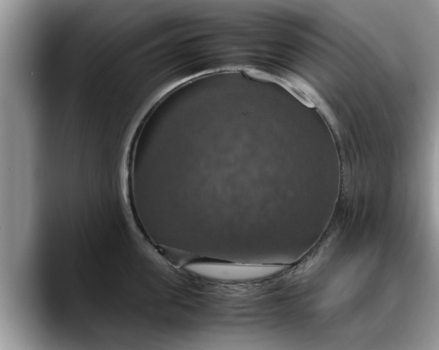 X0000088230955200705292131