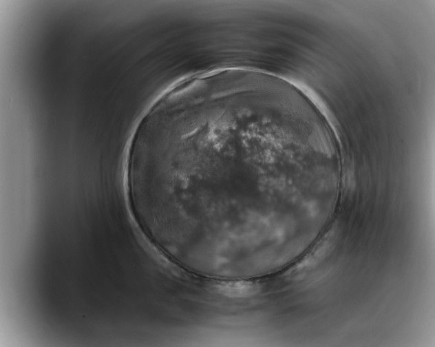 X0000088230957200705292131