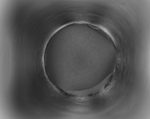 X0000088230959200705292131