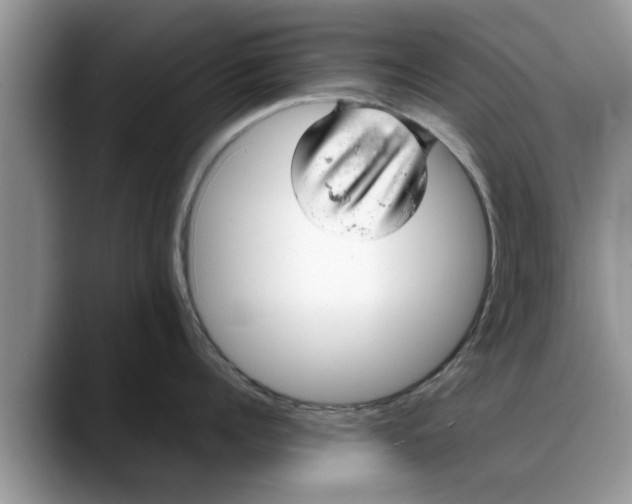 X0000088230960200705292131