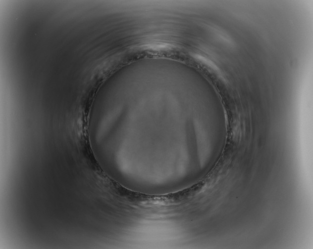 X0000088230966200705292130
