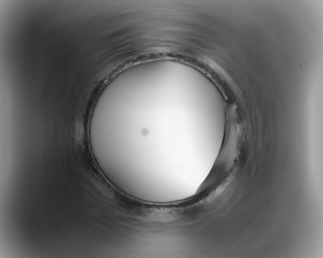 X0000088230969200705292130