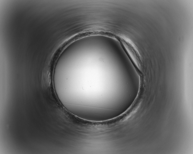 X0000088230973200705292130