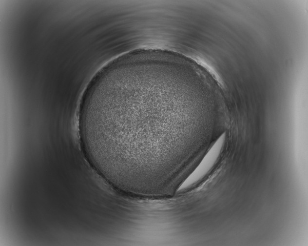 X0000088230976200705292130