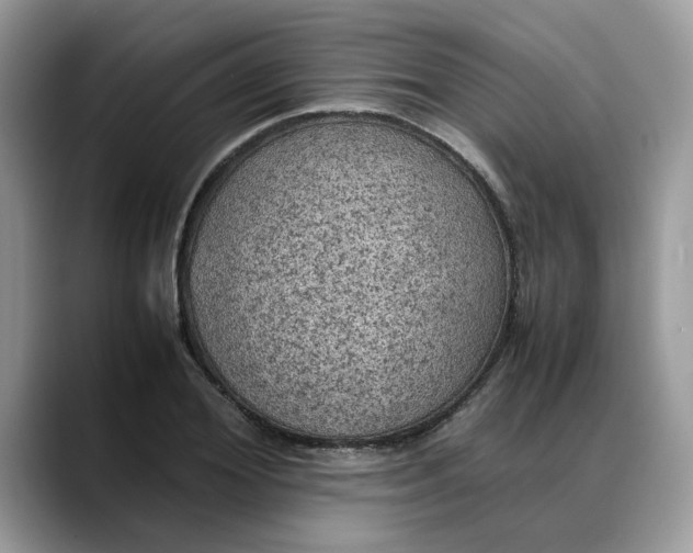 X0000088230980200705292130