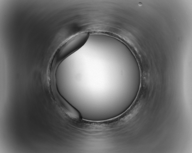 X0000088230981200705292130