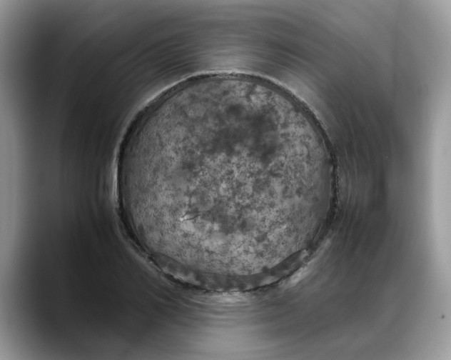 X0000088230982200705292130