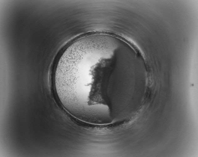 X0000088230983200705292130