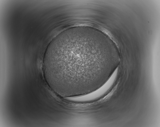 X0000088230985200705292130