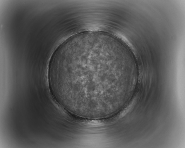 X0000088230986200705292130