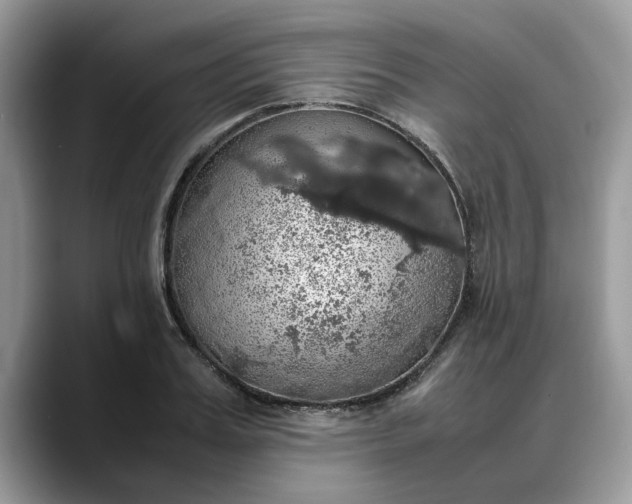 X0000088230987200705292130