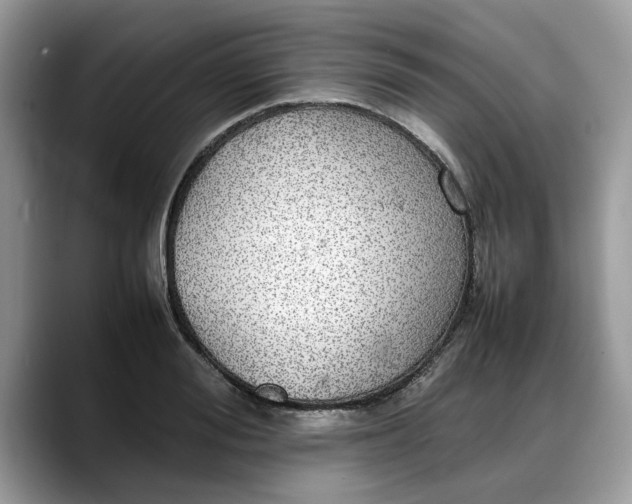 X0000088230988200705292130