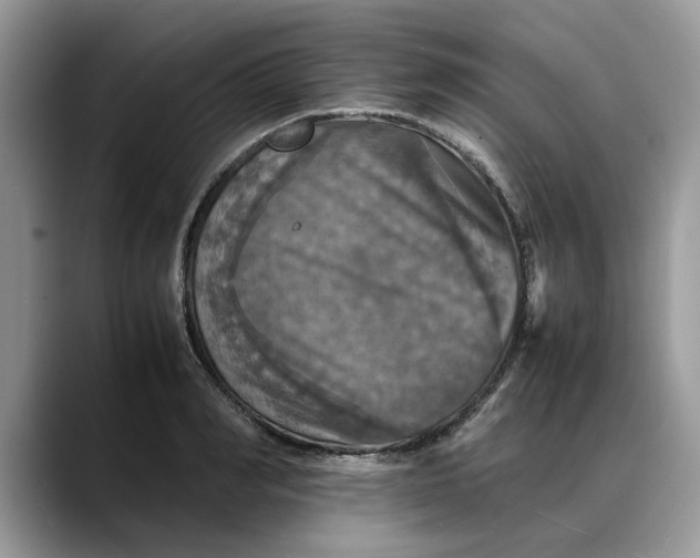 X0000088230990200705292130
