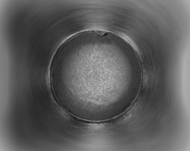 X0000088230996200705292130