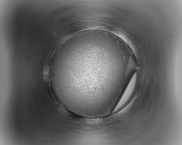 X0000088231001200705292130