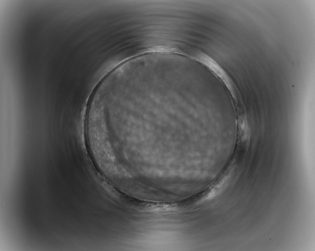 X0000088231002200705292130