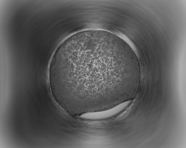X0000088231004200705292130
