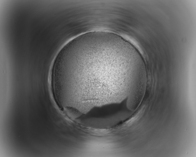 X0000088231007200705292130