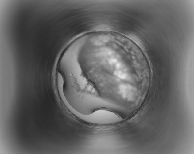 X0000088231008200705292130