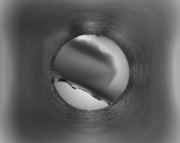 X0000088231009200705292129