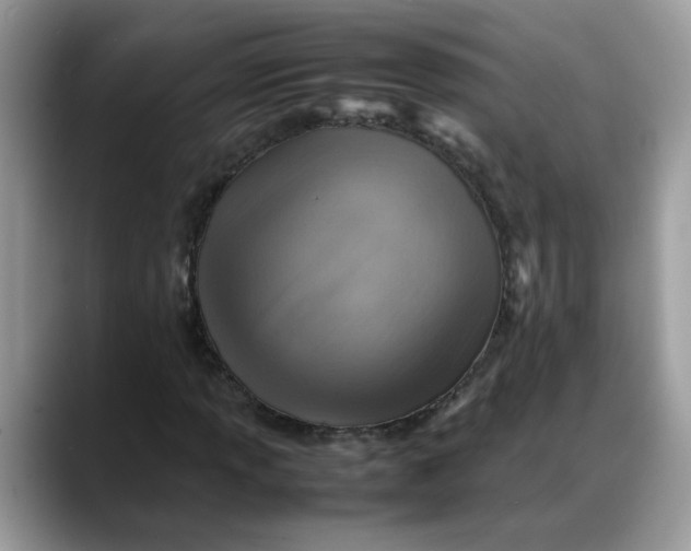 X0000088231013200705292129