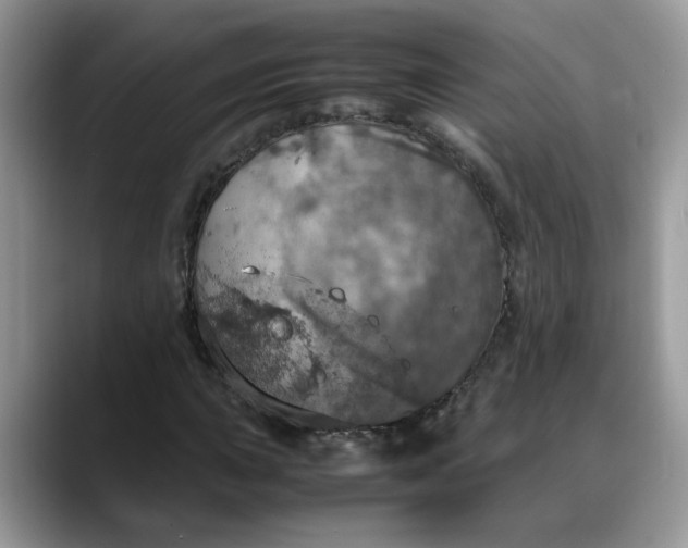 X0000088231015200705292129