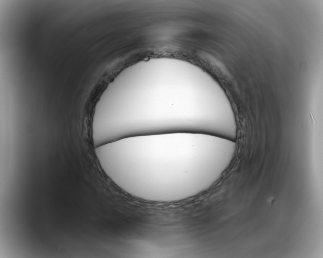 X0000088231016200705292129