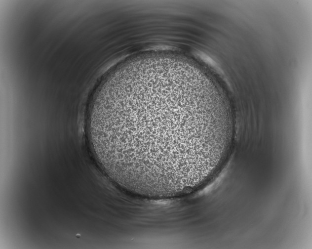 X0000088231017200705292129