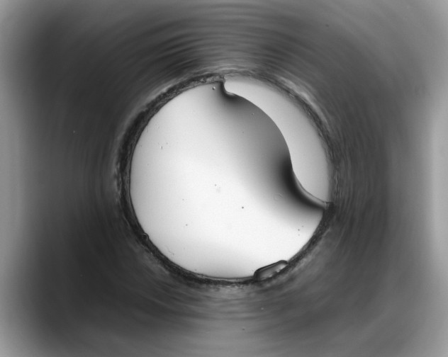 X0000088231018200705292129