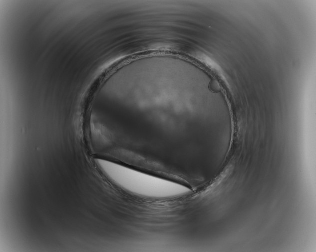 X0000088231019200705292129