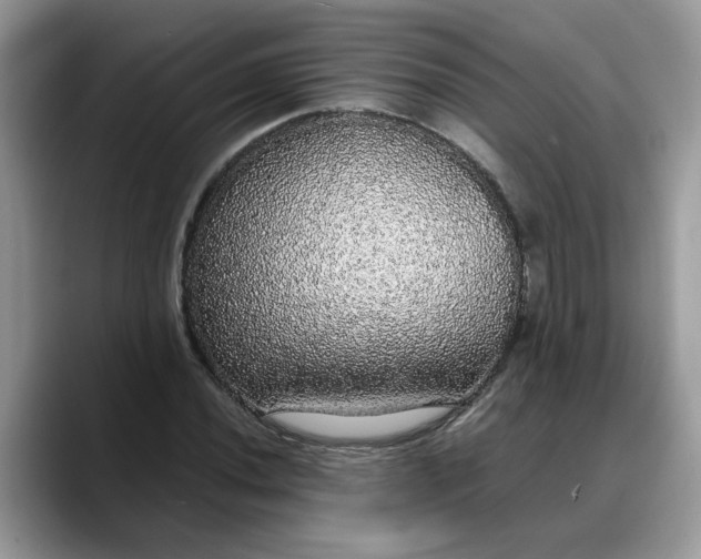 X0000088231020200705292129