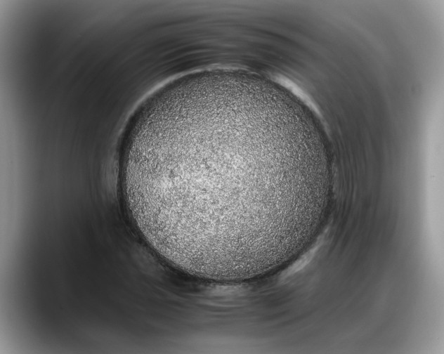 X0000088231021200705292129