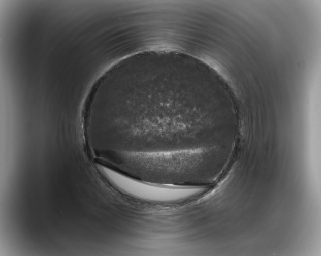 X0000088231022200705292129