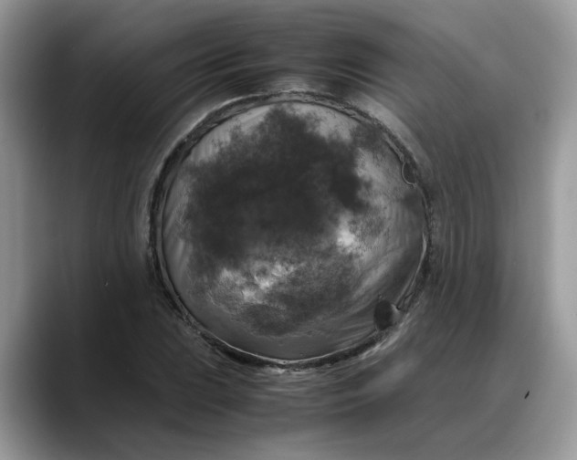 X0000088231023200705292129