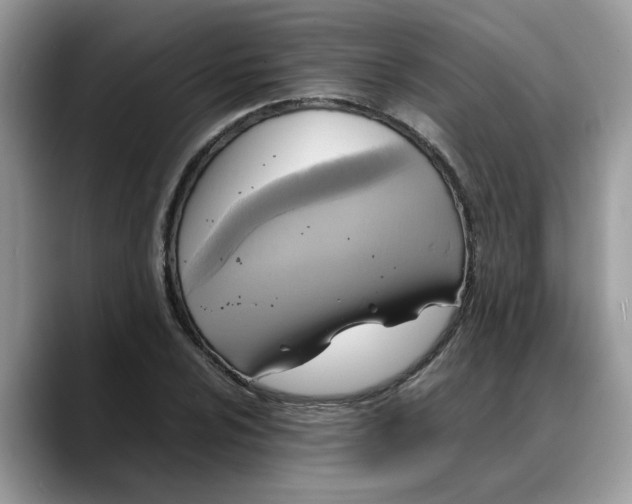 X0000088231024200705292129