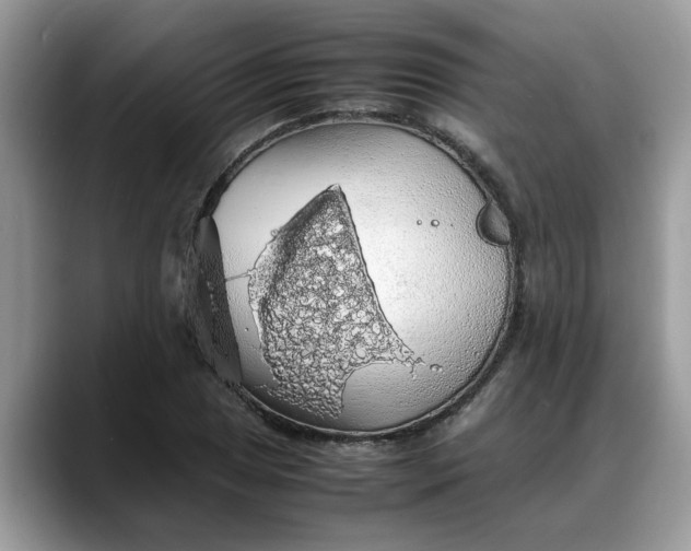 X0000088231025200705292130