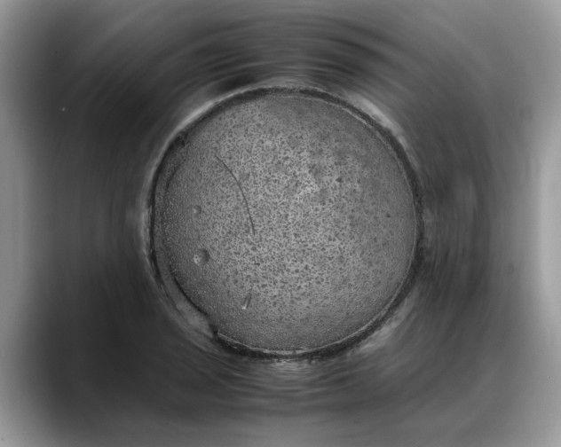 X0000088231029200705292130