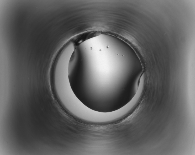 X0000088231030200705292130